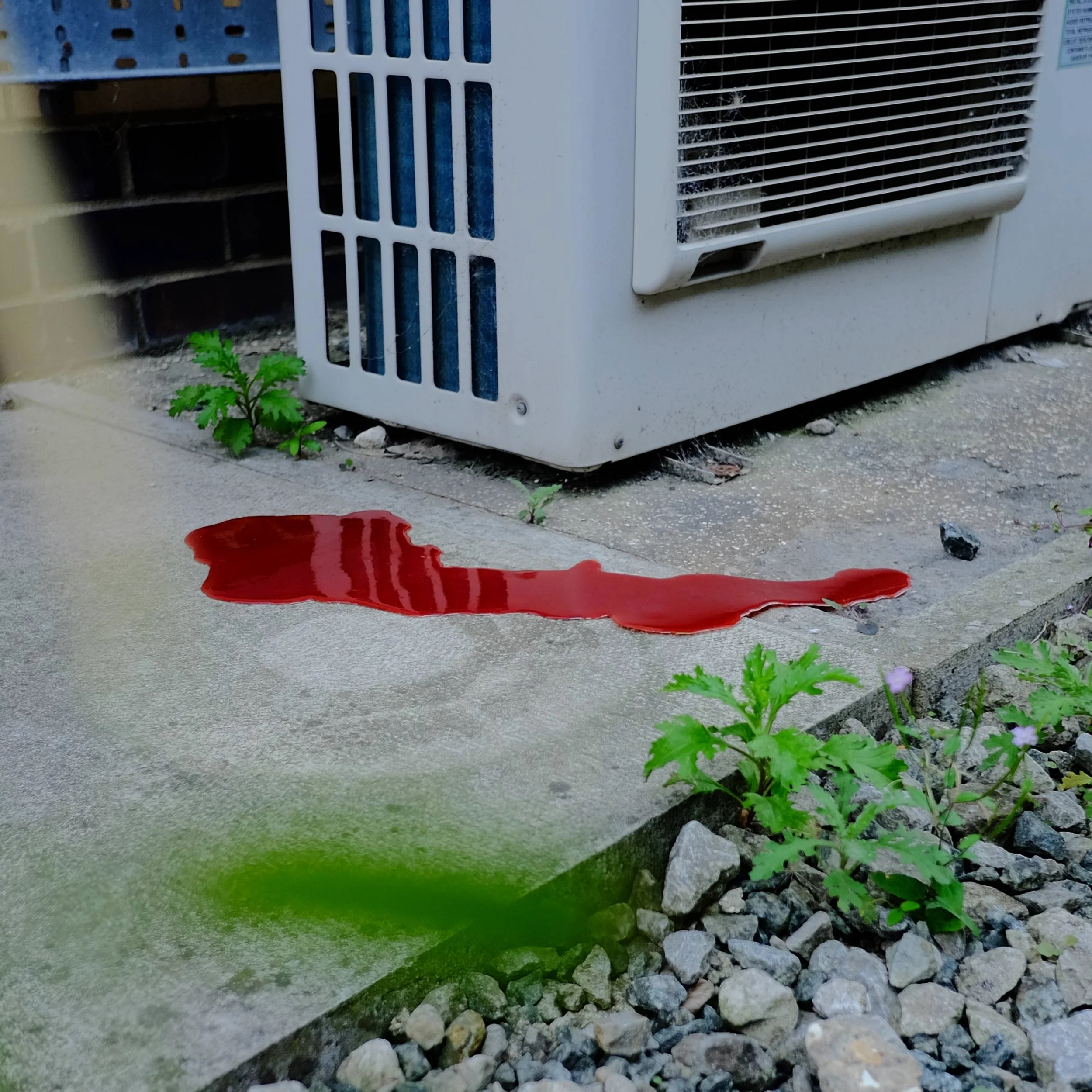 Blood Pool - Image 3