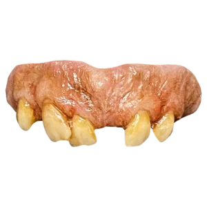 Texas Chainsaw Massacre 2 – Leatherface Teeth