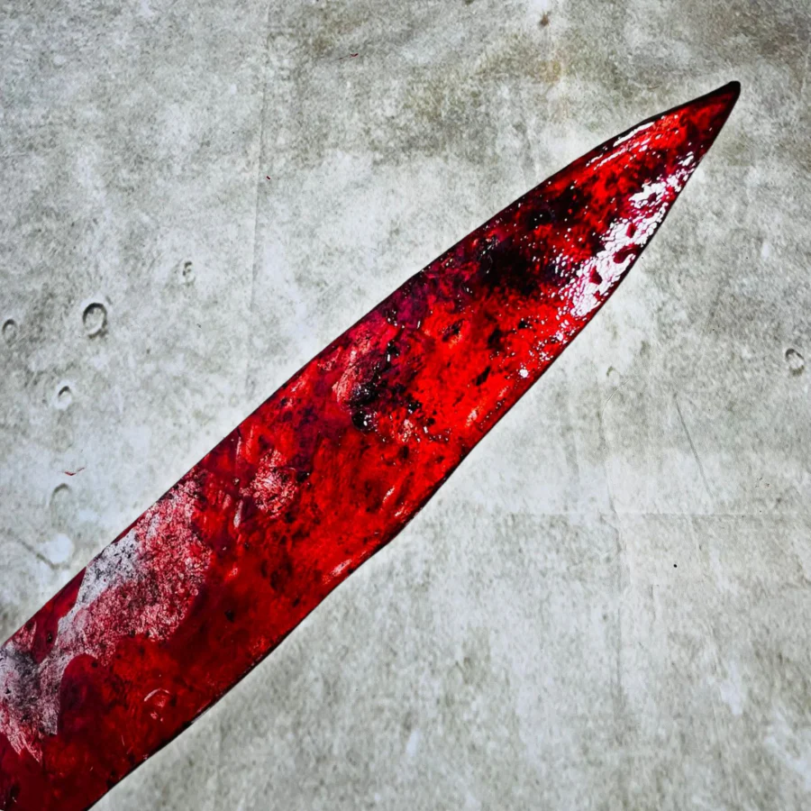 Bloody Kitchen Knife (Premium Range) - Image 3