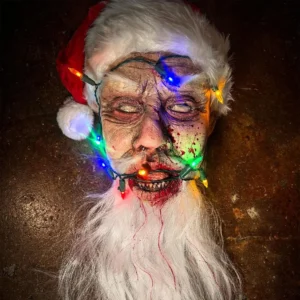 Severed Santa Head